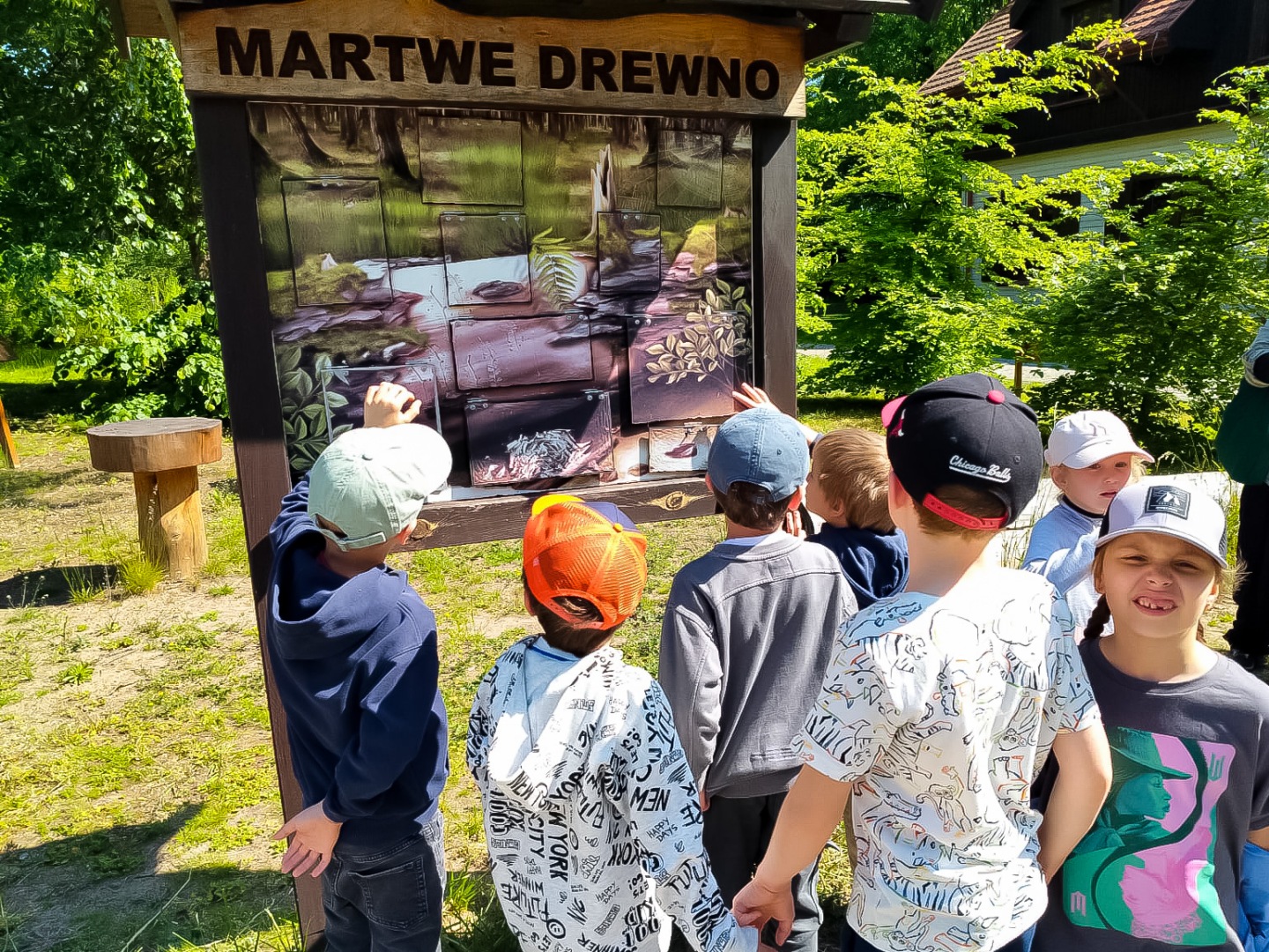 CENTRUM EDUKACJI PRZYRODNICZO LEŚNEJ